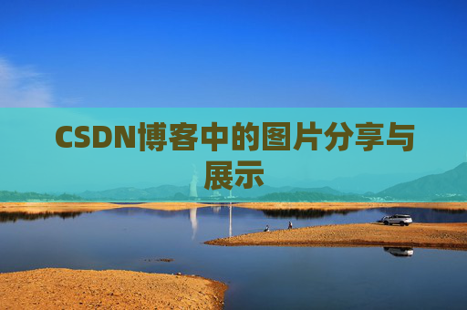 CSDN博客中的图片分享与展示